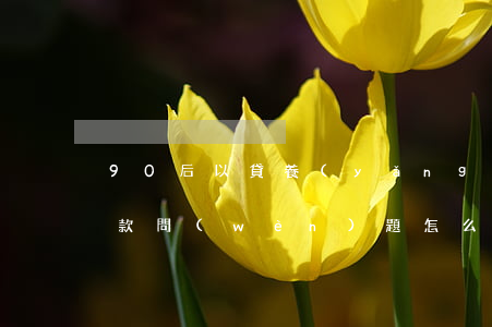 90后以貸養(yǎng)貸逾期(90后貸款問(wèn)題怎么解決)