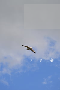 90后信用卡欠款（欠信用卡的大齡剩女）