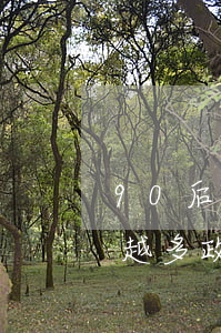 90后信用卡逾期比例(信用卡逾期的人越來越多 政策會變嗎)