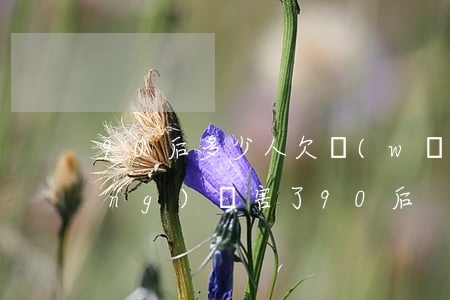 90后多少人欠網(wǎng)貸(網(wǎng)貸害了90后)