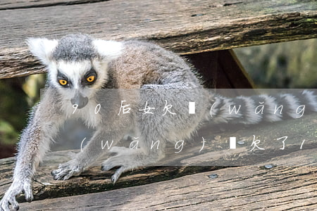 90后女欠網(wǎng)貸幾十萬(各種網(wǎng)貸欠了10幾萬)