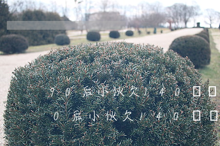 90后小伙欠140萬網(wǎng)貸(90后小伙欠140萬網(wǎng)貸)