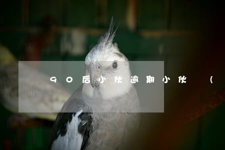 90后小伙逾期 小伙網(wǎng)貸逾期