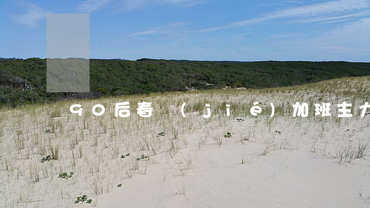 90后春節(jié)加班主力