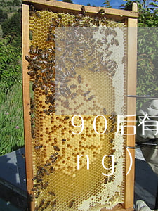 90后有欠網(wǎng)貸的嗎(網(wǎng)貸害死了多少90后)