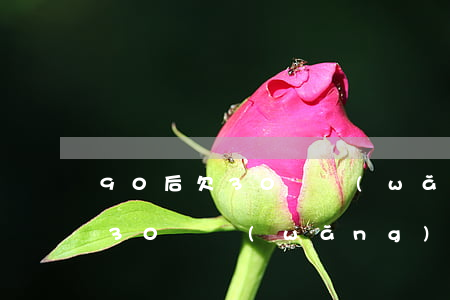 90后欠30萬網(wǎng)貸(90后欠30萬網(wǎng)貸)