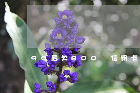 90后欠800億信用卡