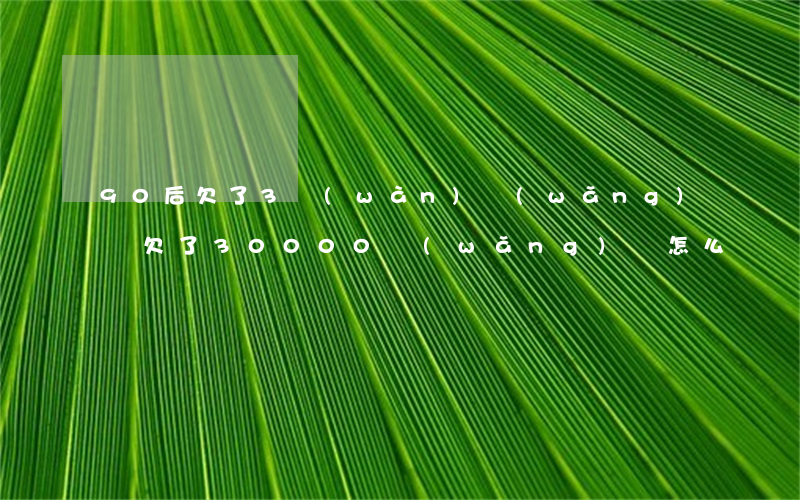 90后欠了3萬(wàn)網(wǎng)貸 欠了30000網(wǎng)貸怎么辦
