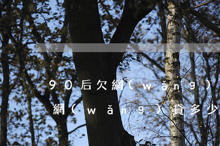 90后欠網(wǎng)貸30萬(90后欠網(wǎng)貸多少人)