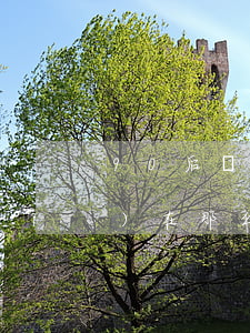 90后為什么欠信用卡(為什么現(xiàn)在那么多人欠信用卡)