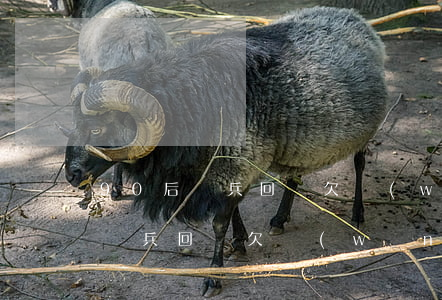 90后當兵回來欠網(wǎng)貸(90后當兵回來欠網(wǎng)貸)