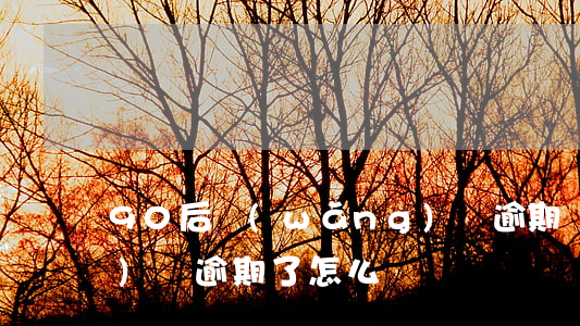 90后網(wǎng)貨逾期(網(wǎng)貸逾期了怎么辦)