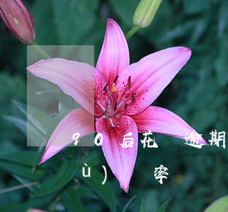 90后花唄逾期有多少人(90后花唄負(fù)債率)