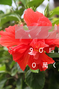 90后誰(shuí)的信用卡不欠銀行10萬(wàn)-90后誰(shuí)的信用卡不欠銀行10萬(wàn)元呢