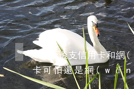 90后透支信用卡和網(wǎng)貸(信用卡可怕還是網(wǎng)貸可怕)