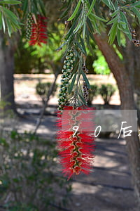 90后都网贷欠多少(90后借网贷多吗)