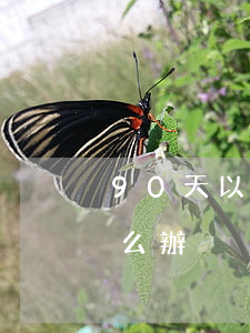90天以上逾期貸款口子(逾期90天以上怎么辦)