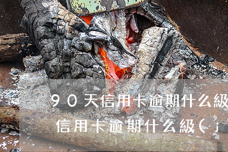 90天信用卡逾期什么級(jí)別(90天信用卡逾期什么級(jí)別的)