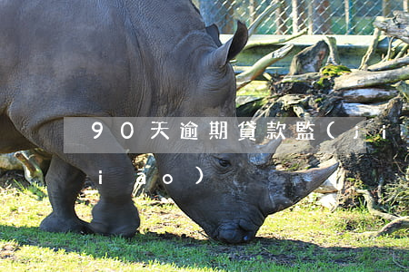 90天逾期貸款監(jiān)管指標(biāo)