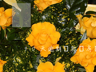 90天逾期還能辦房貸嗎