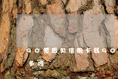 90零后欠信用卡钱(90后的女生欠信用卡多吗)