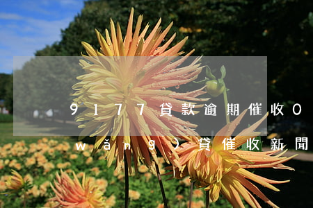 9177貸款逾期催收(0769是哪個網(wǎng)貸催收 新聞)