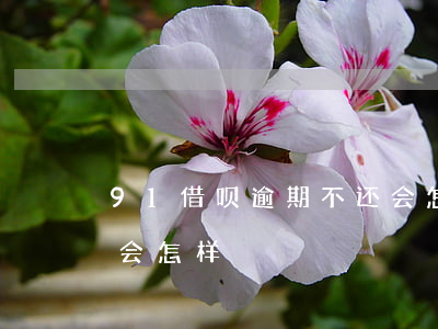 91借呗逾期不还会怎样(91借呗逾期不还会怎样)