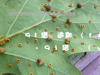 91借錢逾期費(fèi)用太高可以商量嗎-91借錢嚴(yán)重逾期怎么還