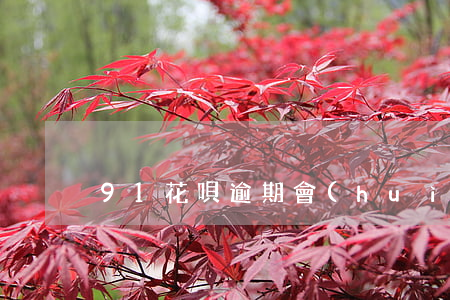 91花唄逾期會(huì)怎么樣