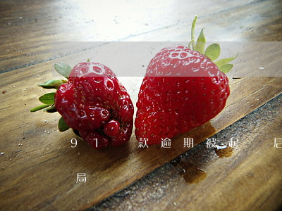 91貸款逾期被起訴后果(91貸款平臺是騙局嗎)