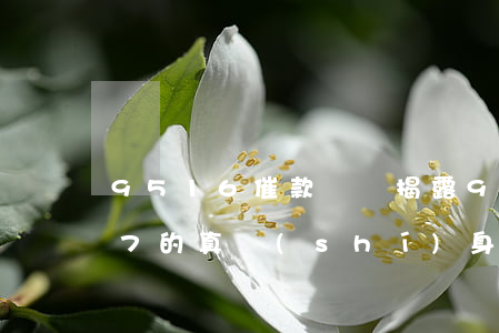 9516催款電話：揭露95121與9517的真實(shí)身份