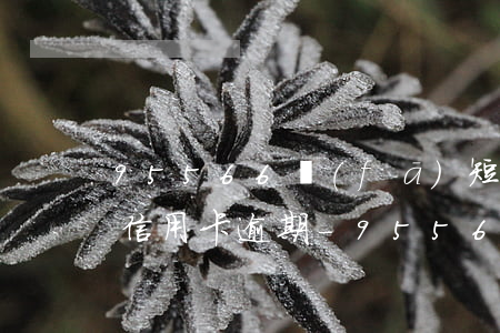 95566發(fā)短信說(shuō)信用卡逾期-95566發(fā)短信說(shuō)信用卡逾期是真的嗎