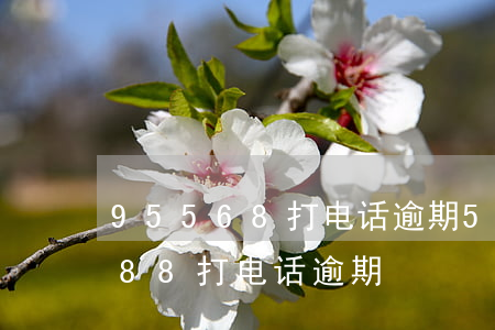 95568打电话逾期5天要停卡-95588打电话逾期