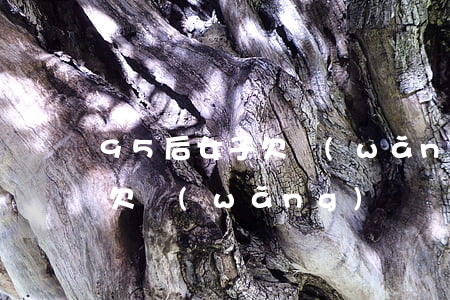 95后女子欠網(wǎng)貸還不起(男子欠網(wǎng)貸)