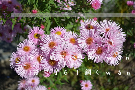 96后欠10萬(wàn)網(wǎng)貸(欠了6千網(wǎng)貸)