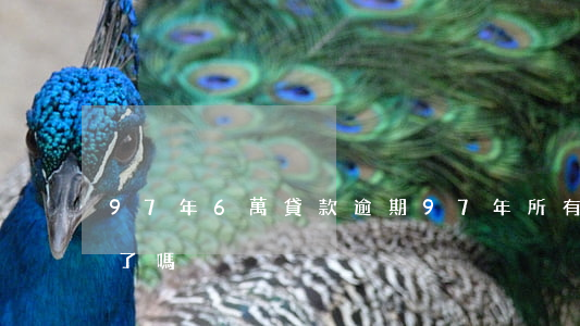 97年6萬貸款逾期(97年所有貸款不用還了嗎)