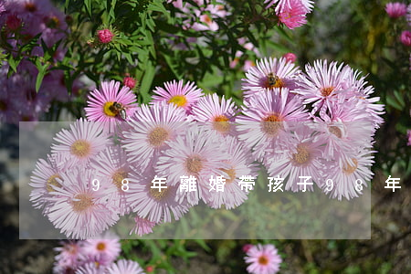 98年離婚帶孩子(98年離婚帶孩子)