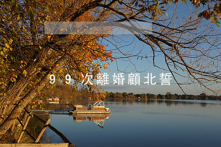 99次離婚顧北誓
