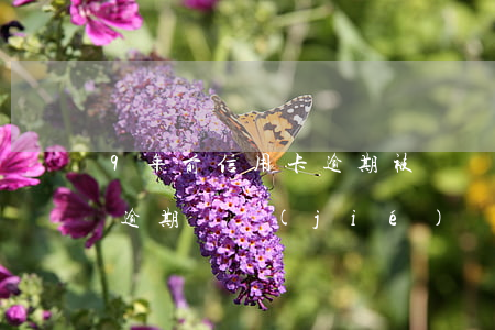 9年前信用卡逾期被凍結(jié)(信用卡 逾期 凍結(jié))