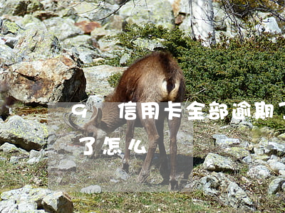 9張信用卡全部逾期了(9張信用卡全部逾期了怎么辦)