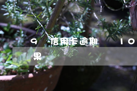 9張信用卡逾期兩張(10張信用卡逾期的后果)