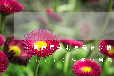 9萬信用卡利息是多少（信用卡九萬逾期產(chǎn)生多少利息）