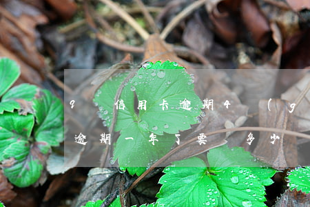 9萬信用卡逾期4個(gè)月 4萬信用卡逾期一年了要還多少