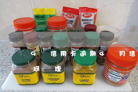9萬信用卡逾期4個月(信用卡逾期9個月如何處理)