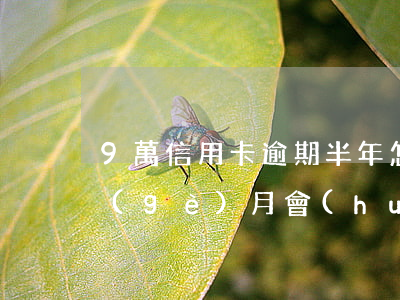 9萬信用卡逾期半年怎么辦(信用卡逾期九個(gè)月會(huì)怎樣)