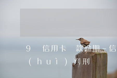 9萬信用卡還款逾期-信用卡9萬還不出會(huì)判刑嗎?