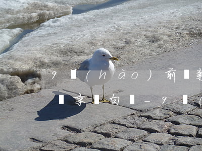 9號(hào)前還款包括九號(hào)嗎京東白條-9號(hào)前還款包括九號(hào)嗎京東白條怎么還
