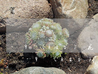 9號(hào)還花唄再刷出來算是還款嗎-9號(hào)還花唄再刷出來算是還款嗎為什么