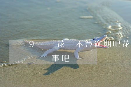 9號還花唄不算逾期吧(花唄8號還款日,9號還沒事吧)