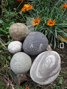 APP貸款逾期兩年(逾期兩年后可以貸款嗎)